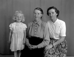 Margit Meisingset Fugelsøy, Inger Meisingset og Tomine Meisi