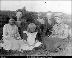 Fotografi Trabelia ? Venabygdsfjellet.