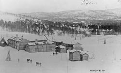 Gårdsbruk, hester, personer, hesjevedkrase, naturforhold.