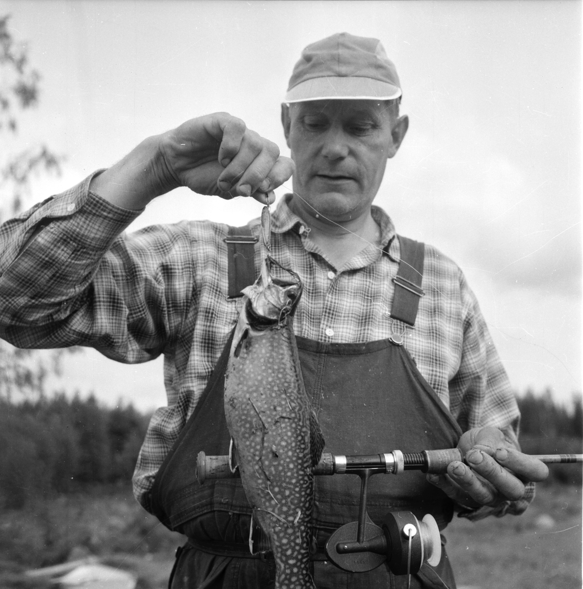 Järvsö-Nor. Öringsodling i Nor
Olof Olsson  8/8-1960