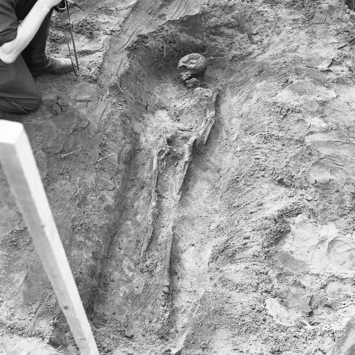 Kånna högar, undersökning 1964.04. Grav 279, skelettgrav.