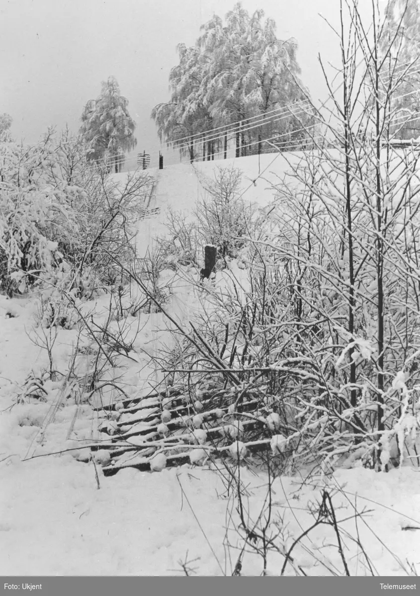 Snøskader på linjekurs nedenfor Bærums Verk