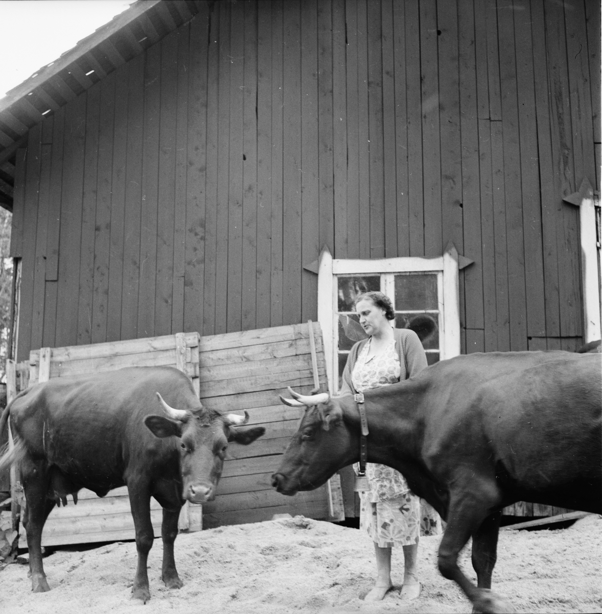 Småströmmarna.
By i Skog A. Boberg
3/8 1957