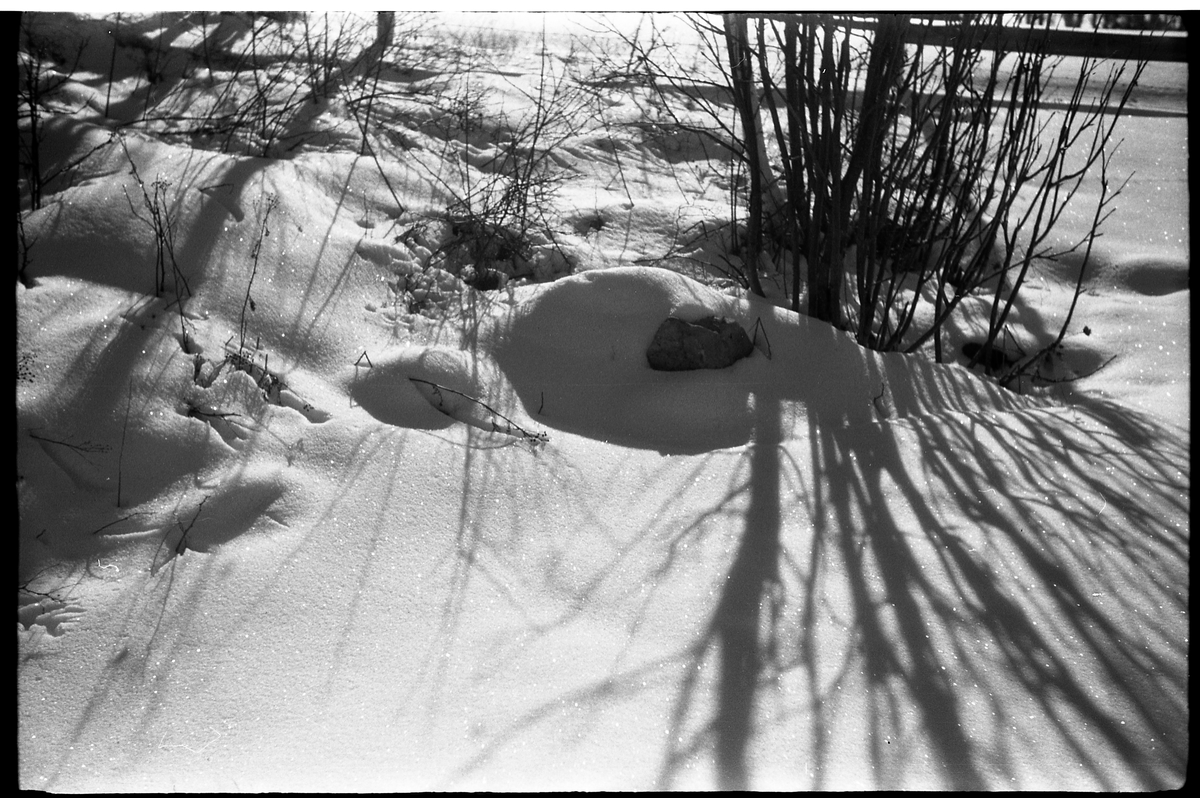 Vintermotiv påsken 1939. Fire bilder.