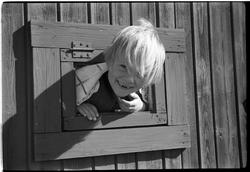 Sigrun Røisli kikker ut av et vindu i uthuset hjemme på Odbe