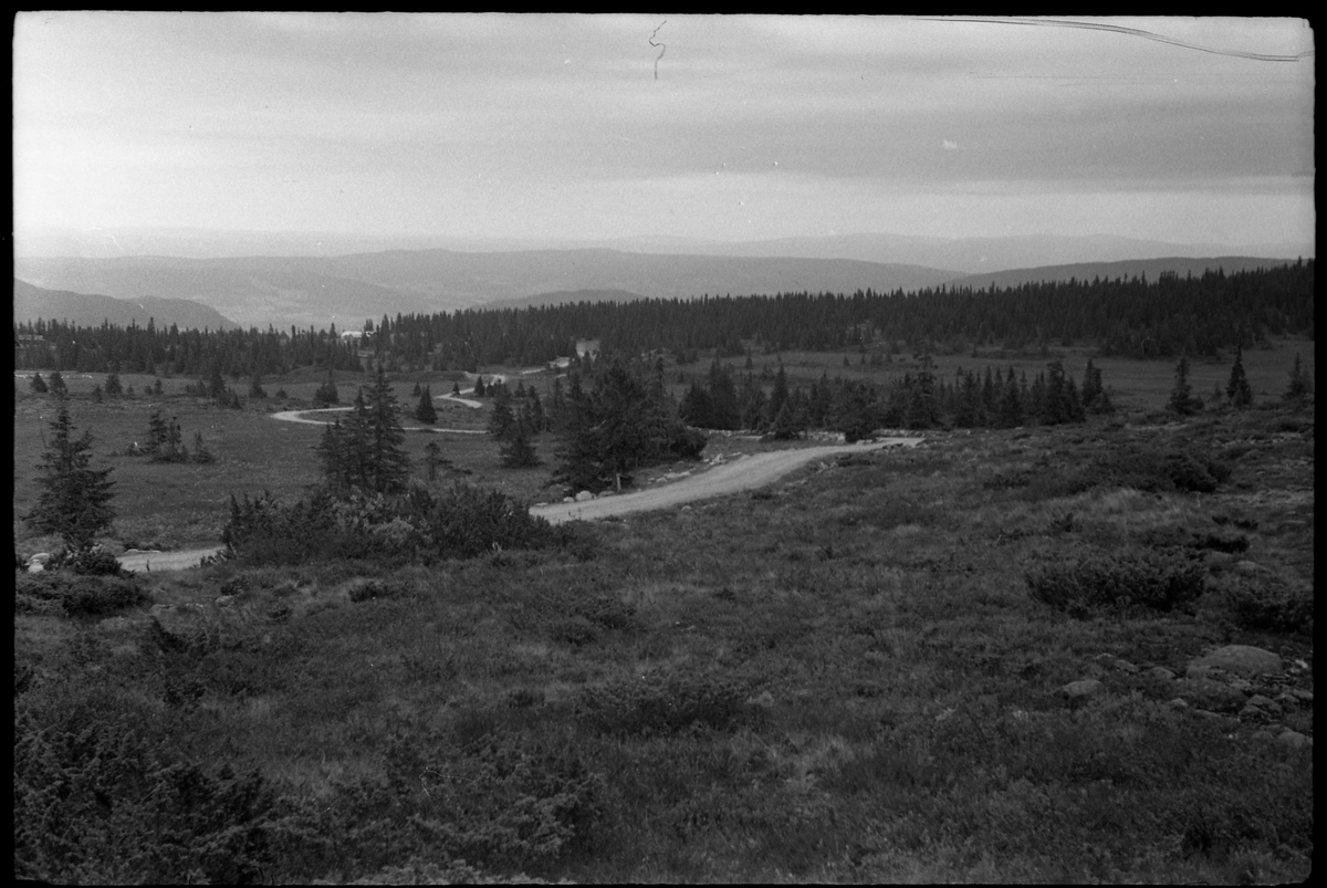 Landskap - Gausdal-fjellet. To bilder.