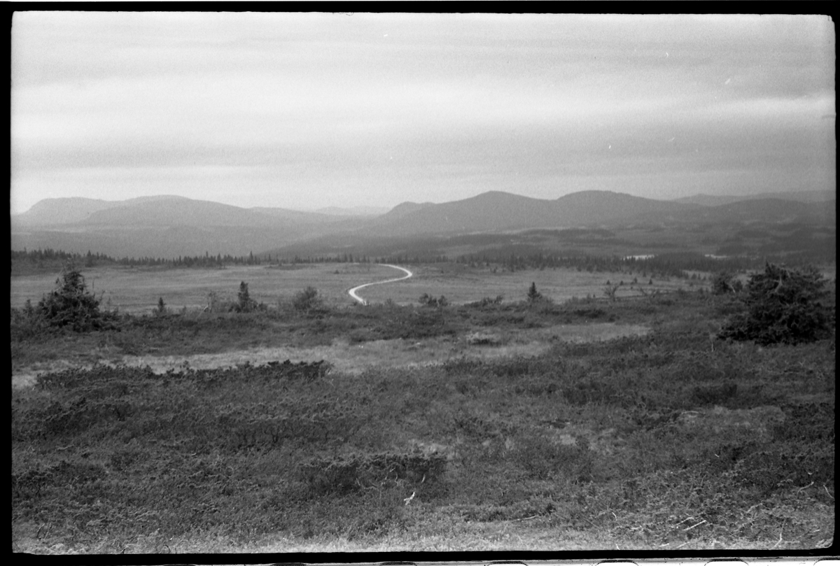 Landskap - Gausdal-fjellet. To bilder.