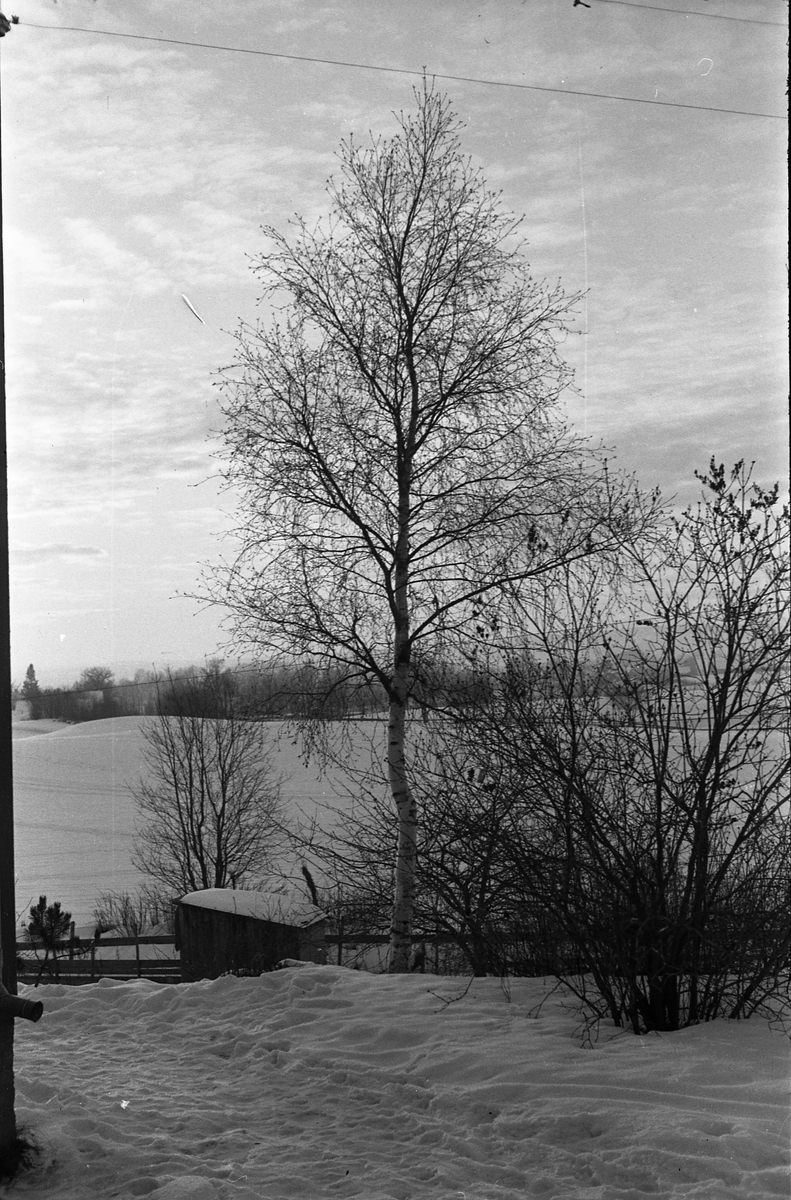 Vinterlandskap sett fra fotografens eiendom Odberg på Kraby, Østre Toten, februar 1947.
