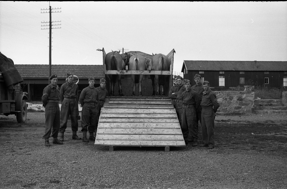 Opplasting av hester på lastebil ved Hærens Hesteskole på Starum september 1948. Serie på 24 bilder. Lengst til venstre på bilde nr. 1 står daværende sersjant Ottar Markeng.
Bildene nr. 1-4 og 17-24 eer trolig fra Hoffsvangen, de øvrige fra Starum Leir.