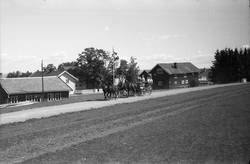 Kjøring med firspann på Starum juli 1949. Sju bilder. Ingen 
