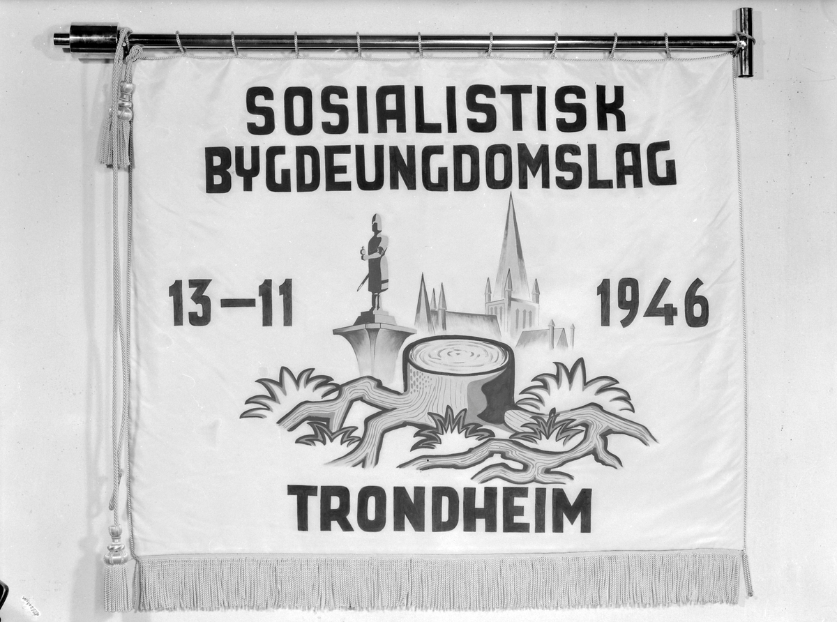 Sosialistisk Bygdeungdomslag, Trondheim, fane