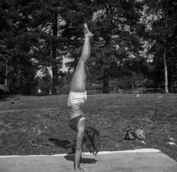 "10 (110)" (ste181a)