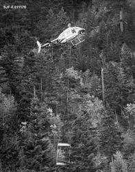 «Helikopter sanker for kongler Canada 1978»