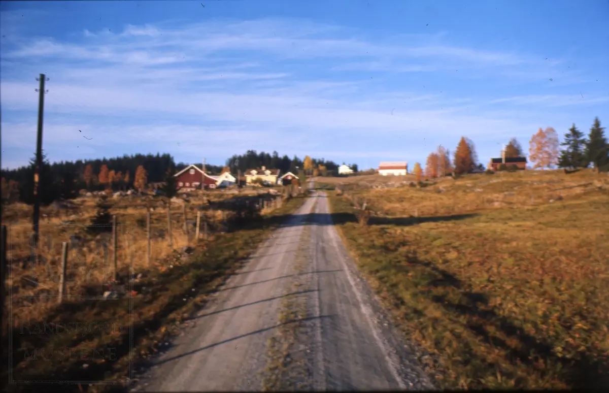 Foto fra "Skålonna", kornband settes opp på rå.