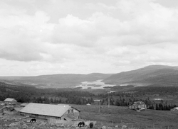 Fjellbilder. Sæter.