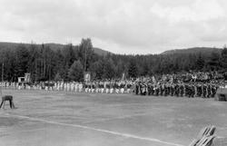 Turnstevne. Defilering