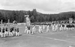 Turnstevne. Defilering.