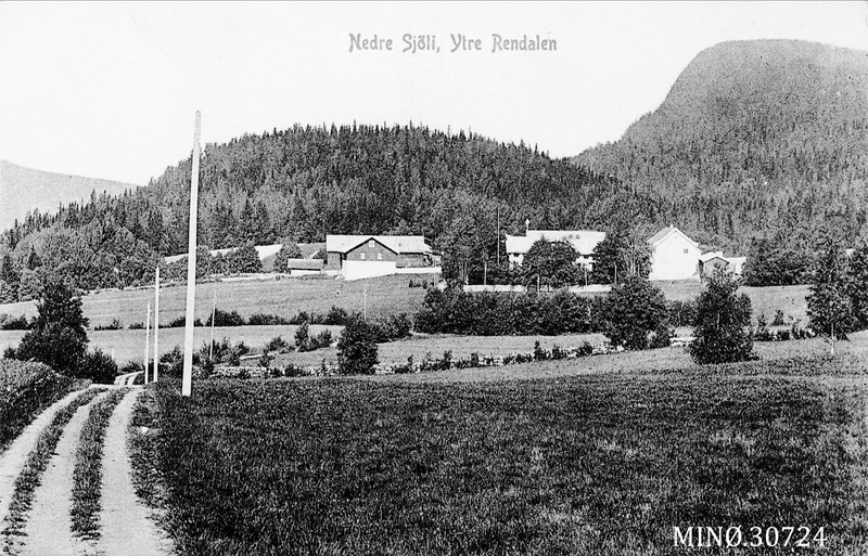 Gardsbruk - Nedre Sjølie, Ytre Rendal