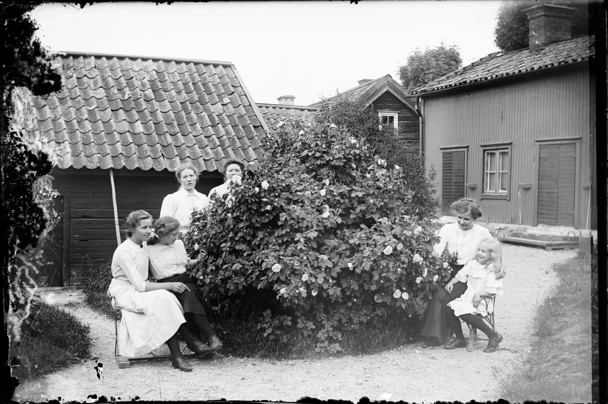 Sara, Ruth, Brita, Tyra och två andra kvinnor vid rosenbusken , Östhammar, Uppland