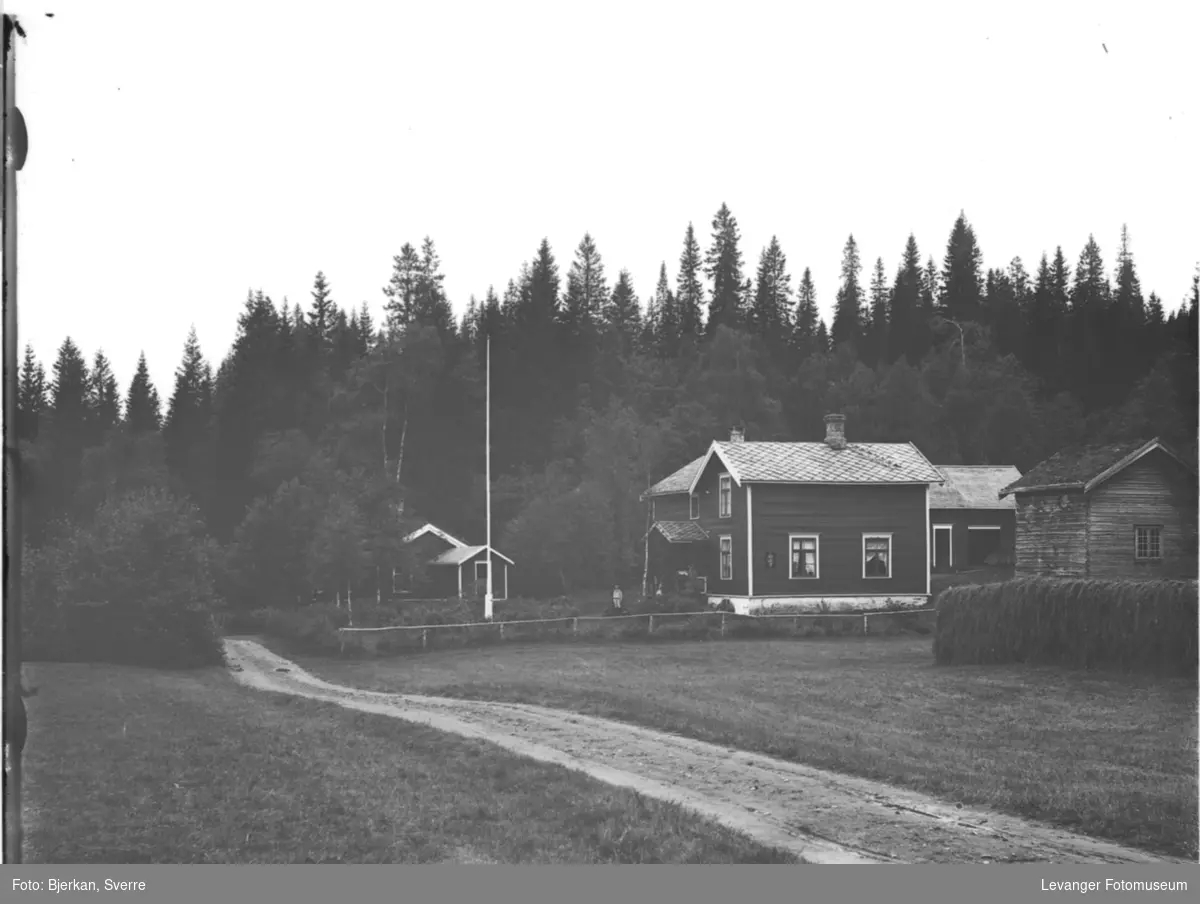 Skogly ved Skjækerfossen i Verdal.