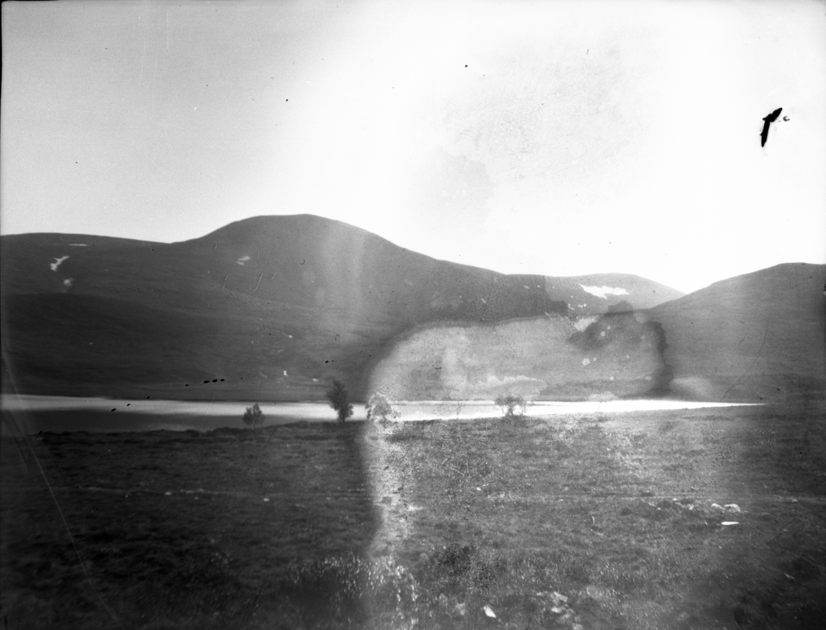 Rikard Berges fotoarkiv. Landskapsbilder og portretter Bilde nr. 10.

Fotografier tatt av Rikard Berge. 642 nummer. Samlingen består av negativer bladfilm. Motivene er ført inn i egen protokoll av Berge. Protokollen har tittel "Bilæt-emne"