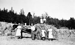 Høykjøring. Hortens seter i Anvisåsen, 1938. 
Anna, Olav, P