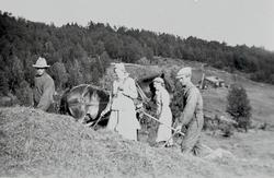 Pålset heimstølen til Haugo.Sveinsgardvollen i bakgrunnen.
