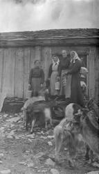 Geit og budeier ved seterhus.