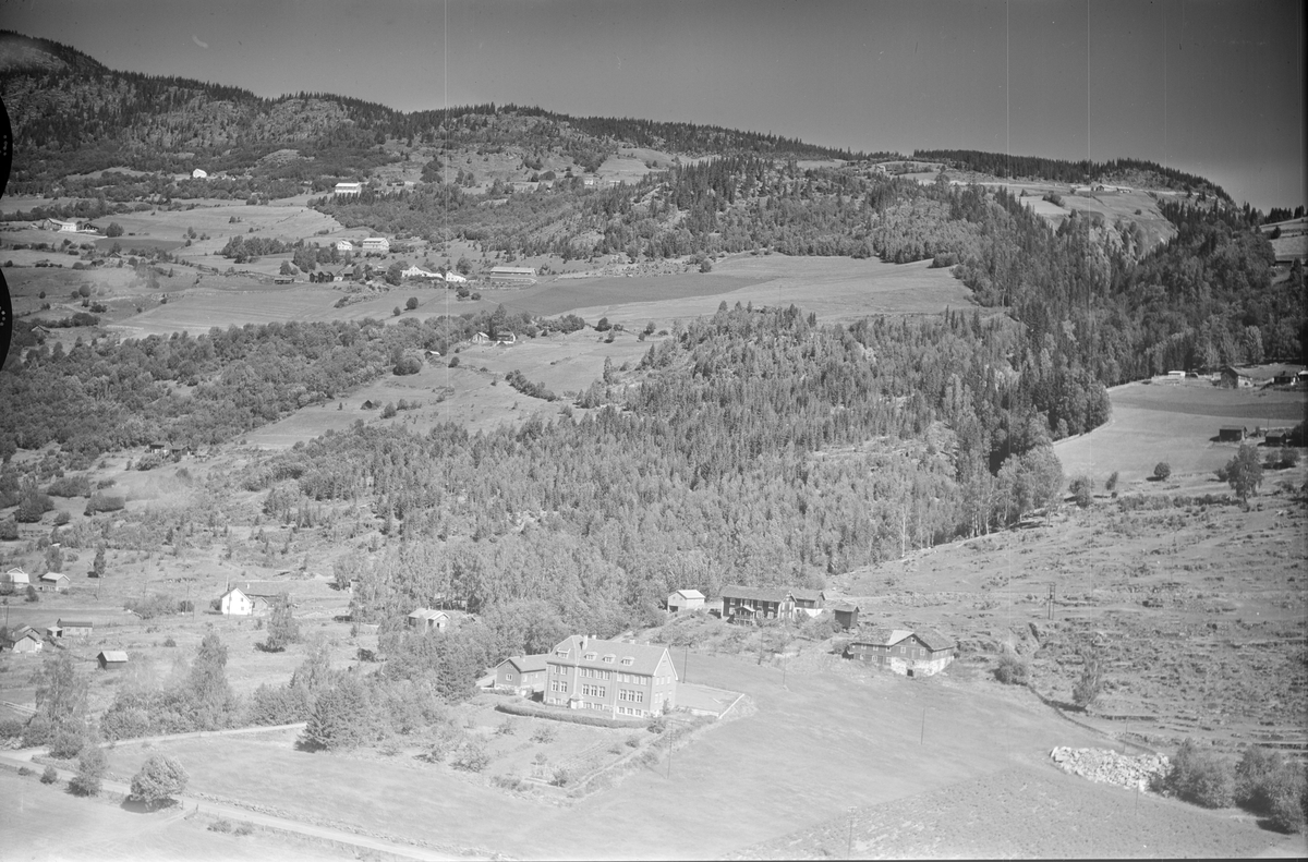 Vidarheim skole, Øyer, li blandingsskog