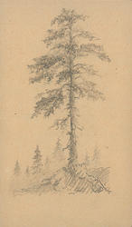 9 naturskildringer [tegning 9 stk]