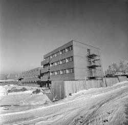 Statsbanenes biltransport. Det nye anlegget på Alnabru ved A