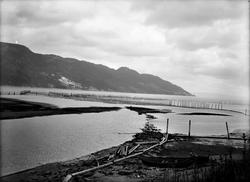 Tømmerlenser ved Orklas utløp. Utsikt fra Nebbmælen mot Geit