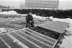 Sogn gartneri. Avdelingssjef Alf Andersen. Mars 1970