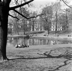St.Hanshaugen. April 1961