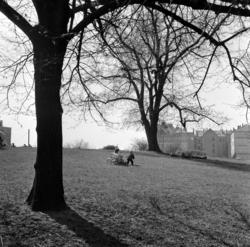 St.Hanshaugen. April 1961