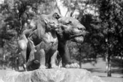 St.Hanshaugen. Mai 1947