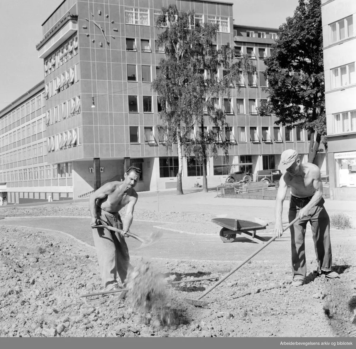 Sandaker. Parkanlegget. Walther Thorstensen og Hilmar Halvorsen arbeider med det nye parkanlegget. August 1957