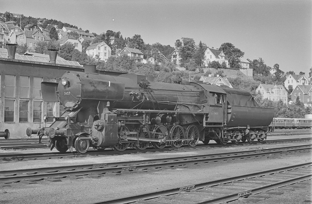 Damplokomotiv type 63a nr. 3437 på Marienborg ved Trondheim.