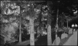 Cykkeltur Lutsi-Høle-TEngesdal-Sviland-Stavanger. Harald Ber