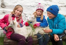 Fra "Fløttdagen" på Dølmotunet 2016, Tolga, Hedmark. Musea i
