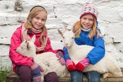 Fra "Fløttdagen" på Dølmotunet 2016, Tolga, Hedmark. Musea i