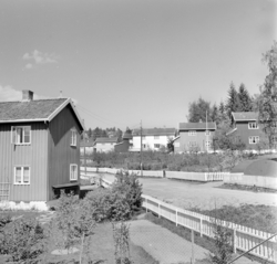 Ulsrud Hageby. Ved Oppsal. Mai 1961