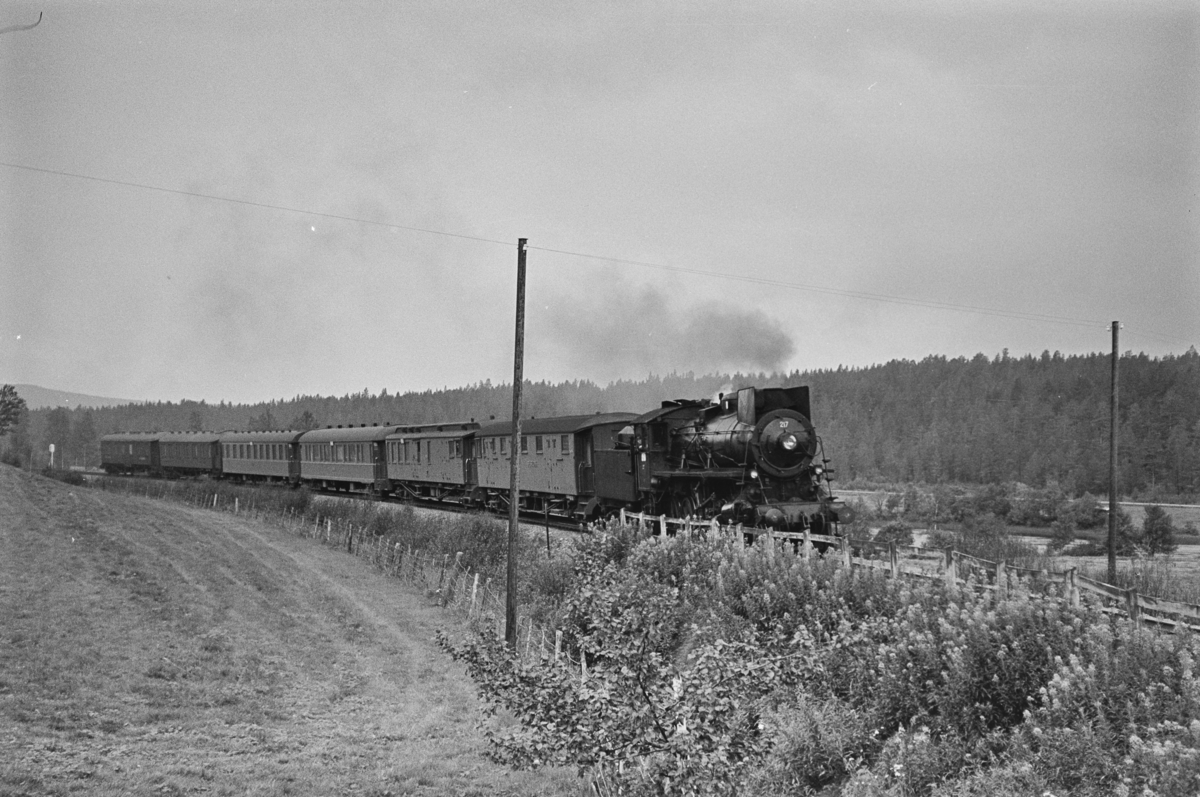 Dagtoget fra Oslo Ø til Trondheim, tog 301, ved Håmålvoll, mellom Os og Tolga stasjoner. Toget trekkes av damplokomotiv type 26a nr. 217.