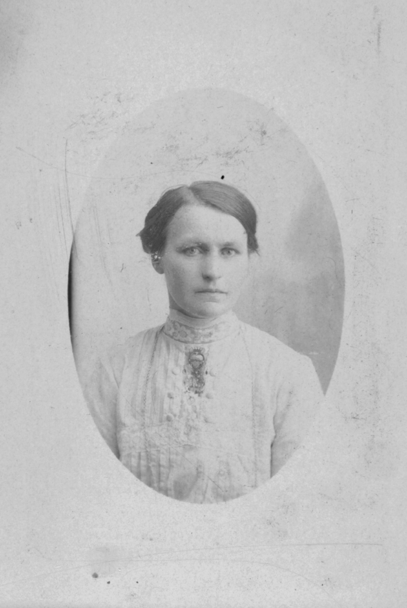 Album med portrettbilder. Albumet har tilhørt Aksel Konrad Mikkola og hans hustru Kathinka Marie, f. Mikkelsen. Det er nå i Solbjørg Mikkolas eie. Navnene til de portretterte er for en stor del ukjente, men mange er fra Neiden og Sør-Varanger. Kathinka kom opprinnelig fra Lofoten, og en del av bildene viser hennes familie i Nordland