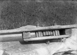 Rikard Berges fotoarkiv. Reiptvinne. Bildet er tatt i 1908.