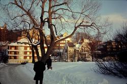 Vinter i Skarpsnoparken.