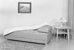 Sovesofa og lampebord.