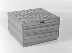 Oppbevaringsboks/ skrin.