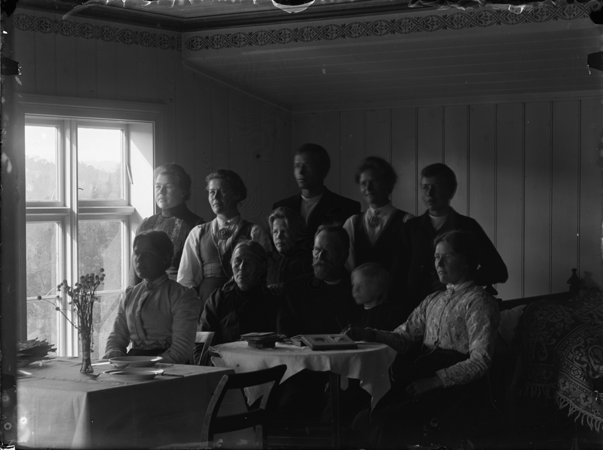 Rikard Berges fotoarkiv. Gruppeportrett. Fotografert 1906.

Gøytilfamilien på ivistoga på Uppigard Gøytil, 1906.
Sit framme frå venstre: Inga (g. Tonna), mor Ingbjørg Rikardsdotter, far Eivind Åsmundson Gøytil, Hæge (g. Torjusen), Margit (g. Djuvland)
Står bak frå venstre: Sigrid (g. Førstøyl), Signe (g. Olsnes), Anne (g. Bjålid), Aasmund Gøytil, Sigrid d.y. (g. Wicklund), Rikard Gøytil.
