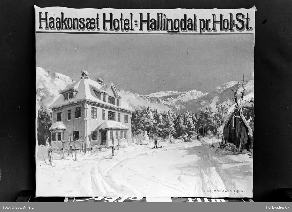 Hotel, Haakonsæt Hotel, måleri, plakat, vinter, arkitektur,